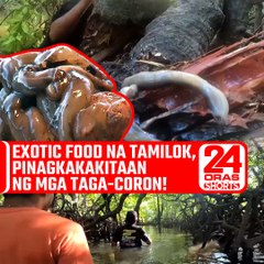 Exotic food na tamilok, pinagkakakitaan ng mga taga-Coron! | 24 Oras Shorts