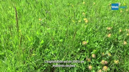 A 1200 mètres d’altitude, une production tout à l’herbe