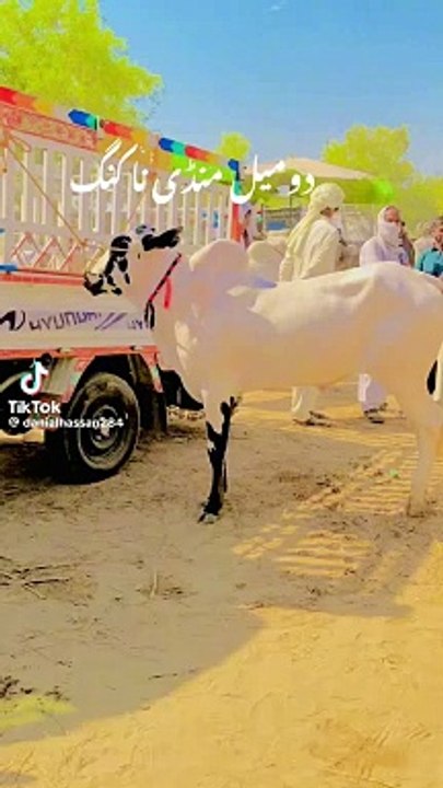 VID-20240531-WA0065