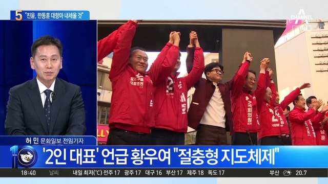 대항마로 오른 황우여, 한동훈 견제 중?