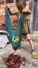 पापा ये देखो मैं क्या लाया -- Papa yah Dekho Main Kya Laya _viral _shorts(360P)