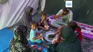 Novo relatório alerta para a possibilidade de fome generalizada no norte da Faixa de Gaza