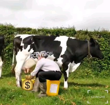 Activision After the Call of Duty Black Ops 6 Direct