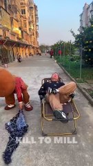 Panda ने सबसे लिया पंगा  #killtomill #shorts