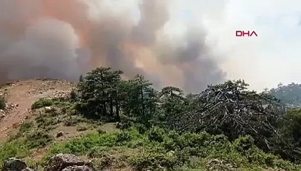 Bursa'da orman yangınına savcılık soruşturması