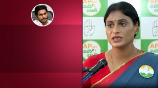 AP ఎన్నికల ఫలితాలపై Ys Sharmila స్పందన.. Chandrababu, Pawan పై పెట్టిన బాధ్యత | Oneindia Telugu