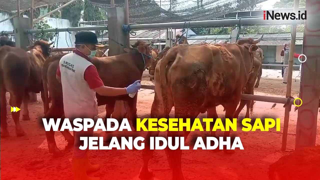 Jelang Idul Adha, Petugas Temukan 4 Sapi Terjangkit Penyakit LSD di Blitar