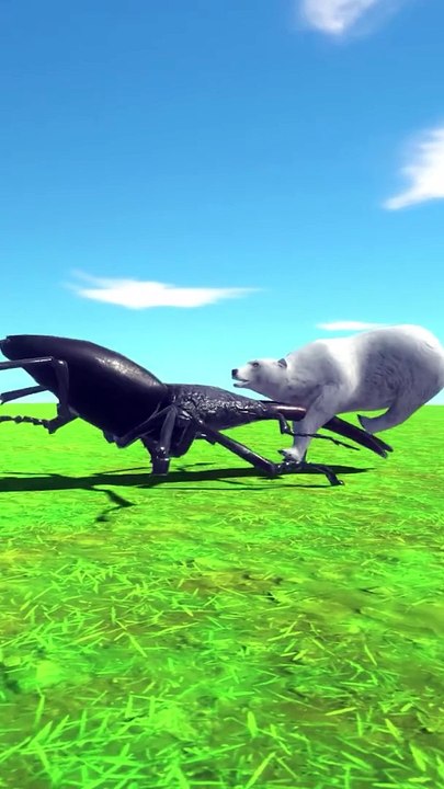 Giant Stag Beetle vs Polar Bear 3D Animation Animal Cartoon Mobile Gameplay FUN GAMES TV