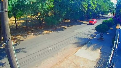 Mulher atropela cão e foge sem prestar socorro; veja imagens