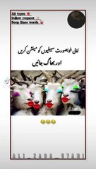 Nice good song Punjabi remix