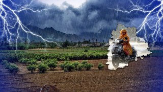 Weather Update: తెలంగాణలో భారీ వర్షాలు | Oneindia Telugu