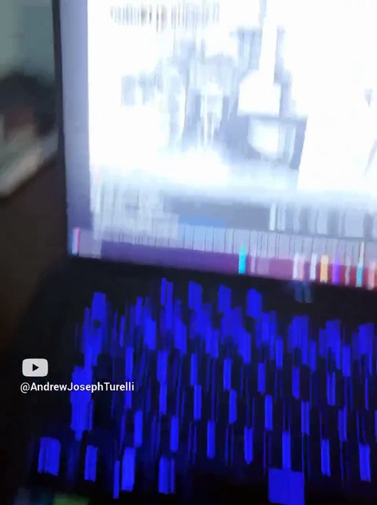 Tiger Tuesday! - Special Edition