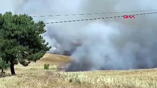 Çanakkale'de orman ve tarım arazisini alevler sardı