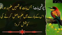 Hazrat Ali R.A Farmate Hain Meri 5 Battain Hamesha Yaad Rakhna Kamyab Ho Jao Ge | Best Urdu Quotes