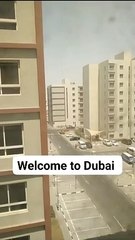 Dubai my visit in five floor 2013