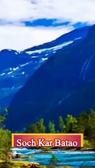 Engaging Quiz Questions & Answers to Test Your Knowledge 🧠