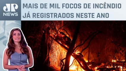 Queimadas no Pantanal sobem 980% em relação a 2023; Patrícia Costa comenta