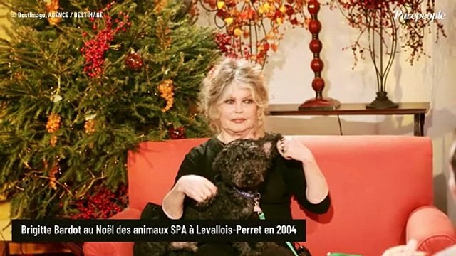 Il est très très mal entouré : Alain Delon confronté au cancer et aux soucis familiaux, Brigitte Bardot lance un cri du coeur