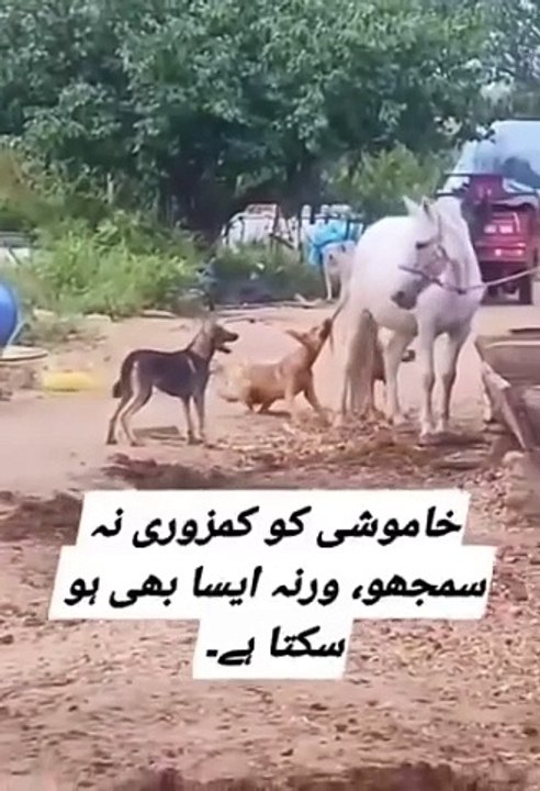 Motivator's