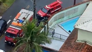Bombeiros resgatam rottweiler que estava se afogando em piscina