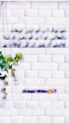 Trending ,#Viral, # Quotes, Urdu Quotation