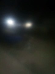 Watch video looking carefully 2024