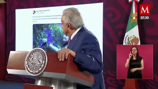 AMLO inicia conferencia lamentando muerte de Rosalinda López Hernández