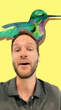 FOCUS sur le mouvement COLIBRIS au BRESIL