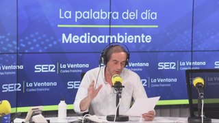 MADIOAMBIENTE | La palabra del día de Isaías Lafuente