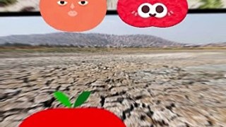 Ministerio de Gobierno apunta a ‘las caseritas’ y al clima por la subida del precio del tomate