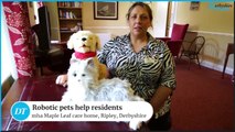 Robot pets at mha Maple Leaf care home to help residents