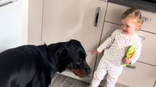 Young girl succeeds in making her dog follow instructions