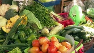 ¡Comer tomate se volvió un lujo! Se incrementó el precio de este producto y hay preocupación en las amas de casa