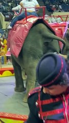 Welcome to the circus