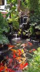 Waterfall on a pond# Beauty of nature