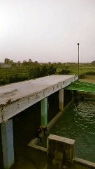 Swimming pools partying 