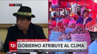 ​¿Qué responde el Gobierno ante el incremento del precio del tomate?