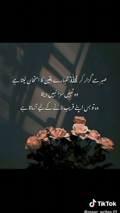 c489ce74d3b7a6a0ceeee9caaed98fc1
