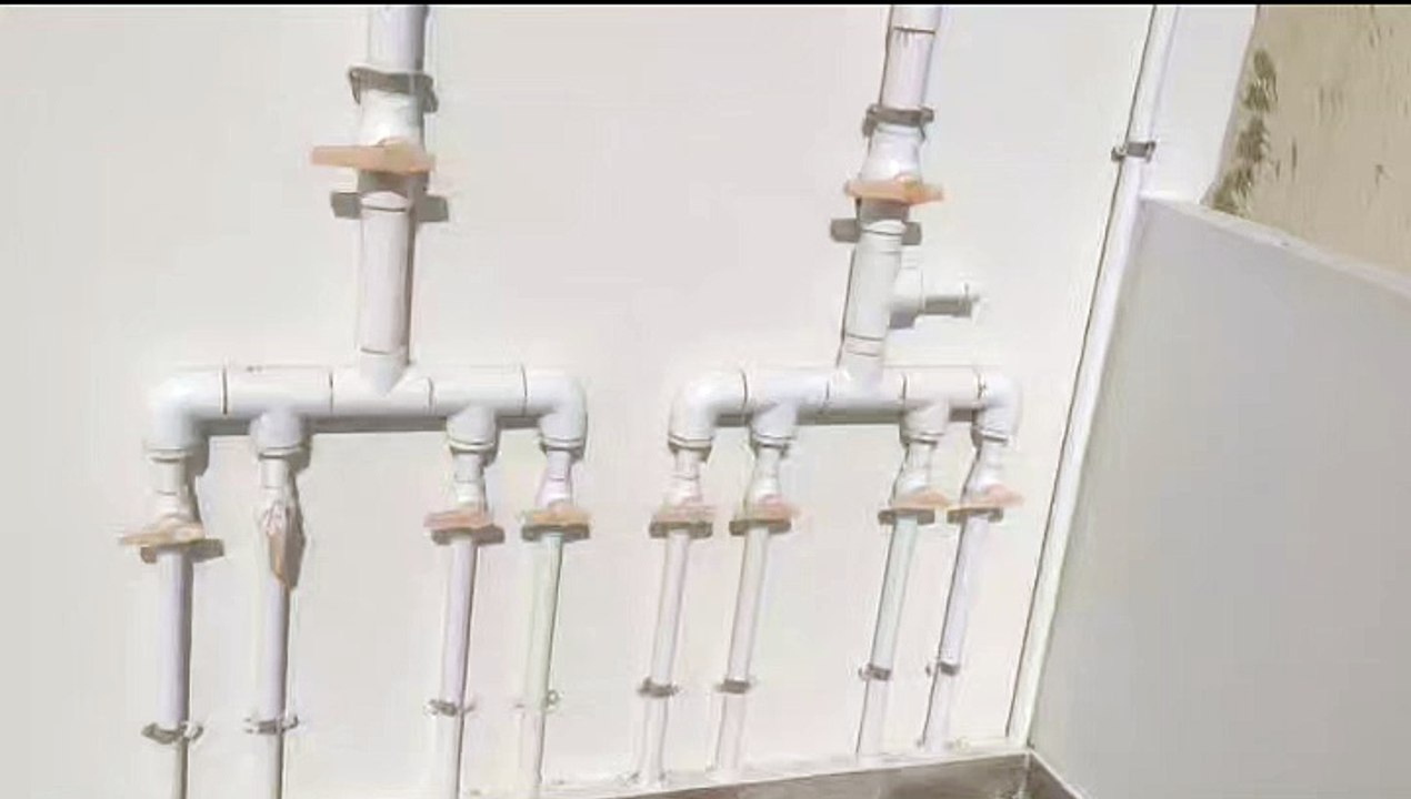 VID_1702624541282