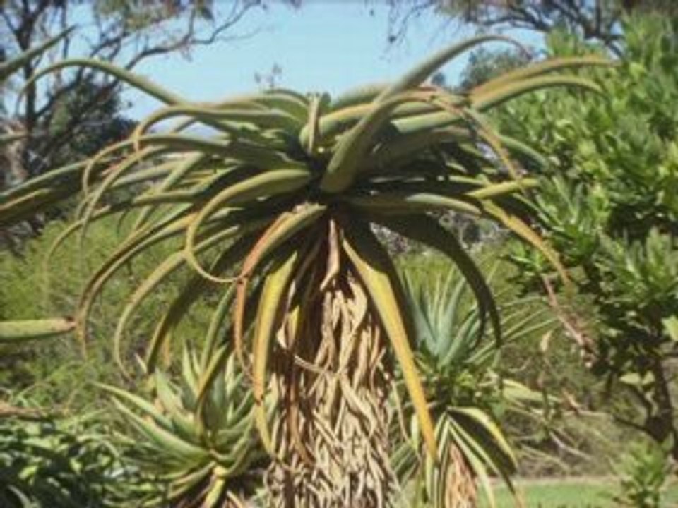 Perth