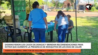 Disminuyeron los casos de dengue y brindan recomendaciones para evitar que aumente la presencia de mosquitos en los dias de calor