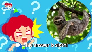 Panda vs. Sloth The Laziest Animal on Earth Animal Songs Kids Songs JunyTony