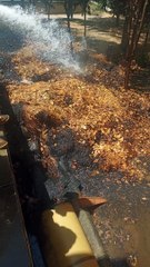 sub jal gya #shorts #viral #trending #foryou #tiktok #delicious #gaming #reels#dailymotion #France #Pakistan #Algeria #India #USA #Iran #entertainment #tour #fun