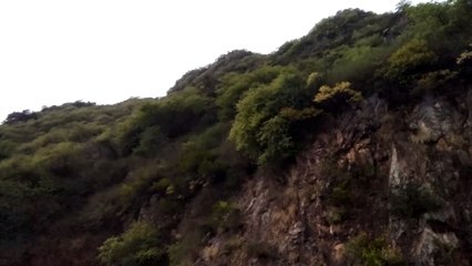 zabardast view #shorts #viral #trending #foryou #tiktok #delicious #gaming #reels#dailymotion #France #Pakistan #Algeria #India #USA #Iran #entertainment #tour #fun