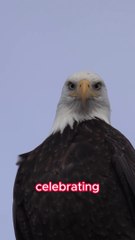 Clawesome Grip! Forget handshakes, get ready for talon power