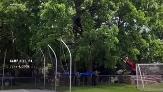 Tranquilized Black Bear Takes Falls Into Waiting Tarp After Suburb Stroll