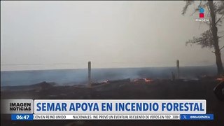Activan el Plan Marina para combatir incendio forestal en Veracruz