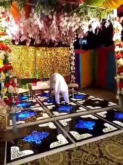 wedding events handmade decor stage dance floor.