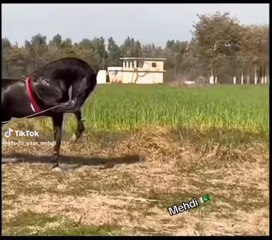 beautiful hours dancing