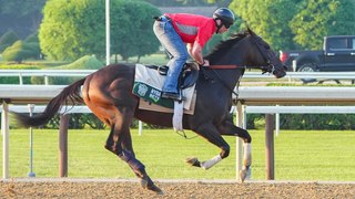 Honor Marie: A Top Pick for Upcoming Belmont Stakes Analysis
